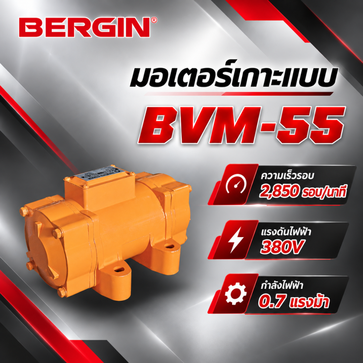 มอเตอร์เกาะแบบ BVM-55-380V